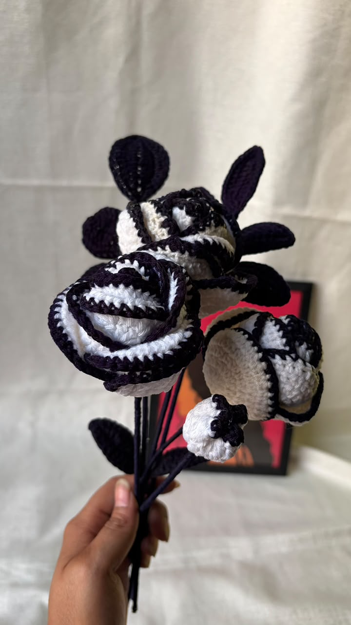 Monochrome Rose (Black & White Rose)